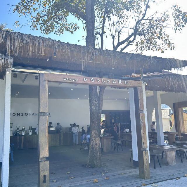 Abonzo paradise ดอยช้าง 