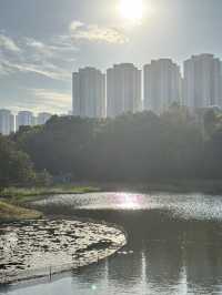 香港秋冬景點：本地人才會去小眾公園 
