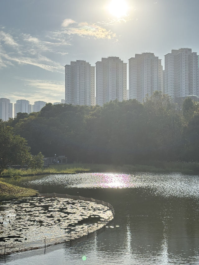 香港秋冬景點：本地人才會去小眾公園 