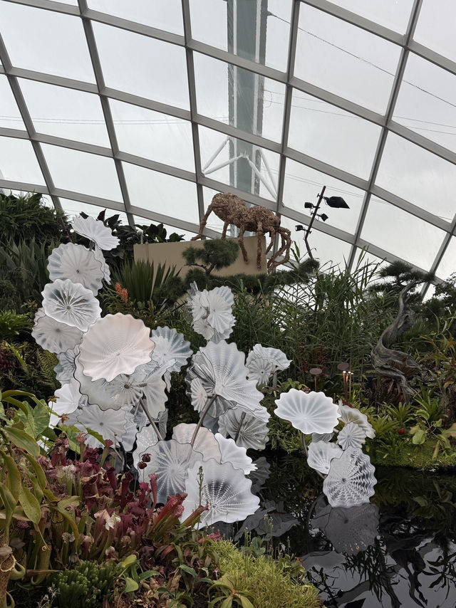 🌿✨ 新加坡必訪夢幻花園——濱海灣花園 ✨🌿