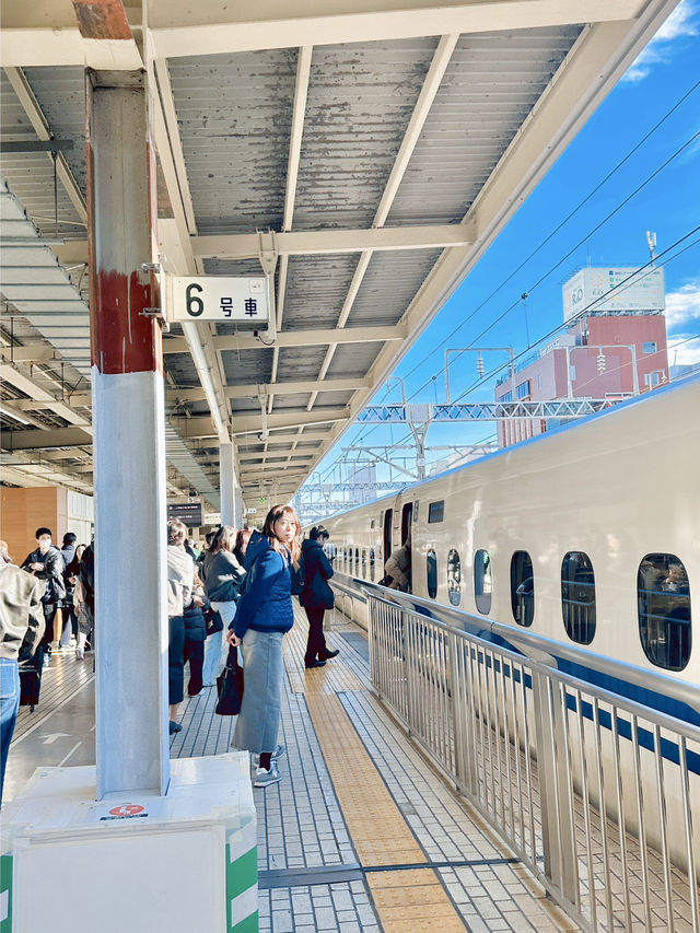 아름다운 일본 여행지🇯🇵Shizuoka