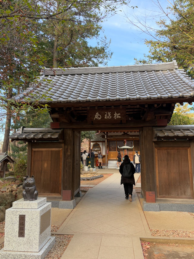 Gotokuji Temple 😸 วัดแมวกวักนำโชคในโตเกียว