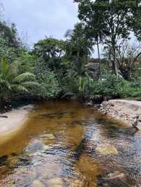Rainforest Retreat like no other 