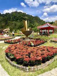 Hues of Winter at Betong Flower Garden