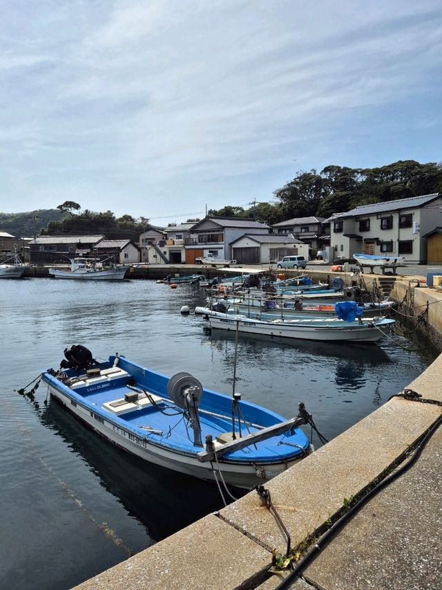대마도 히타카쓰 자유여행 당일치기 코스 추천!🇯🇵