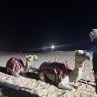 Desert Safari Adventure in a Day! 