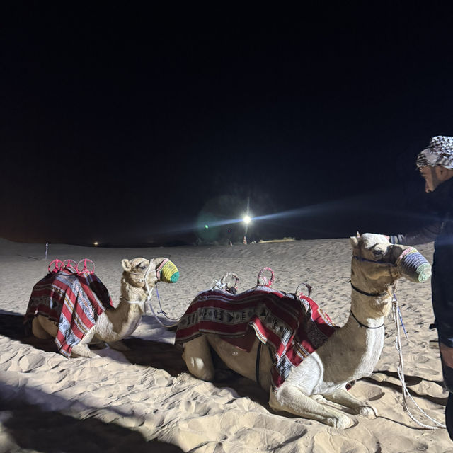 Desert Safari Adventure in a Day! 