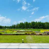 モエレ沼公園