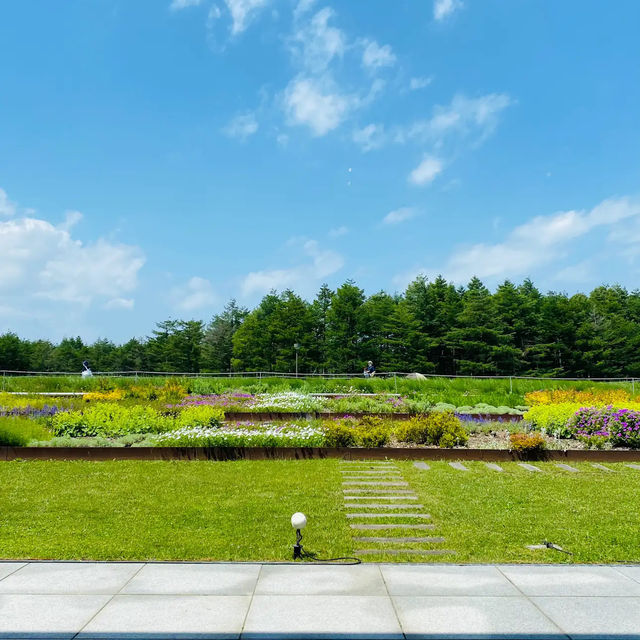 モエレ沼公園