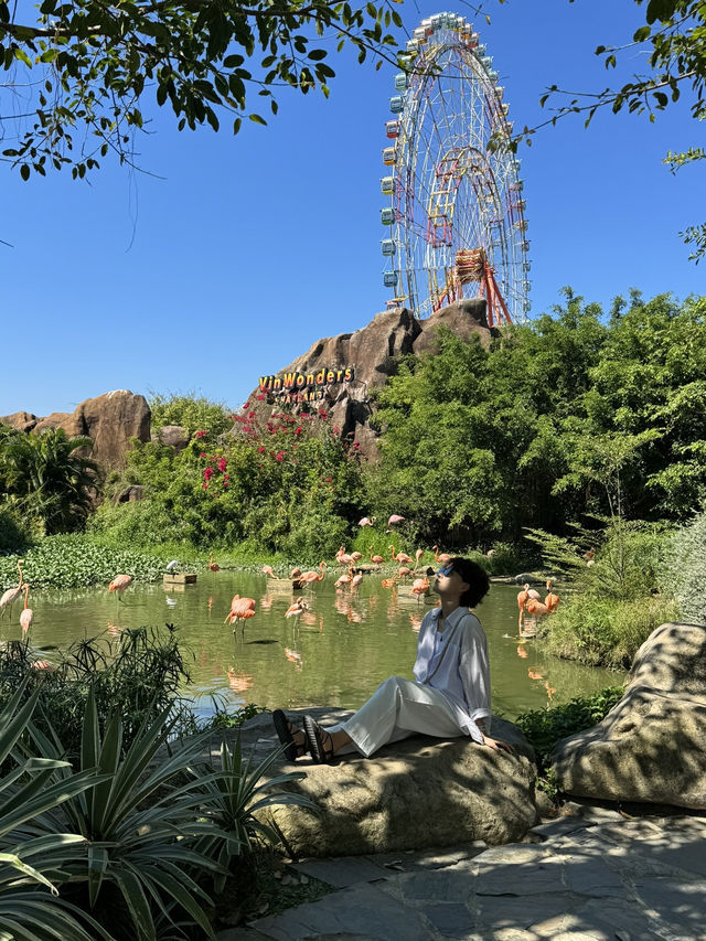나트랑 빈원더스 동물원에 간다면 홍학 포토존은 필수🇻🇳❤️