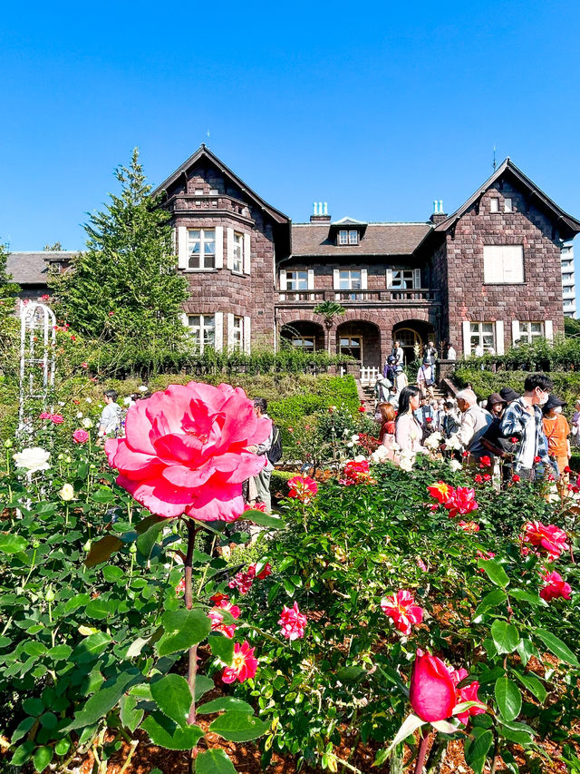 バラの季節がおすすめ！旧古河庭園