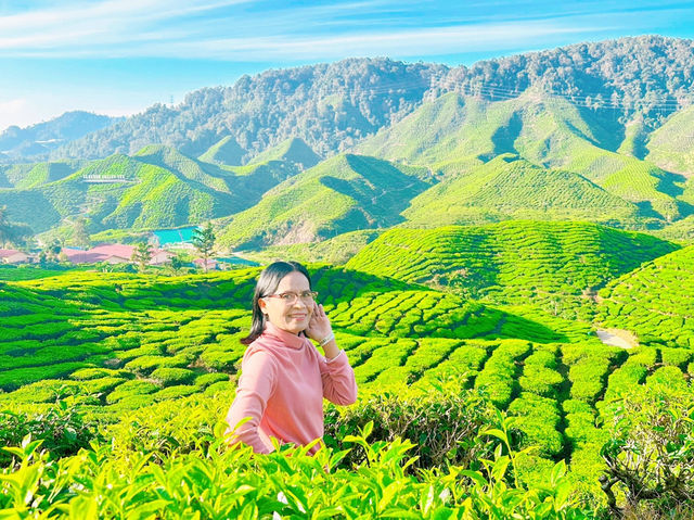 Cameron Valley Tea
