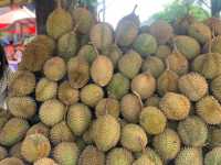 Finding a whole bunch of Durian sellers on the roads of Taungngoo 