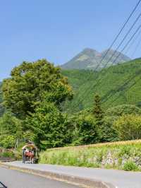 【大分県/由布市】街の中を馬が歩く！？