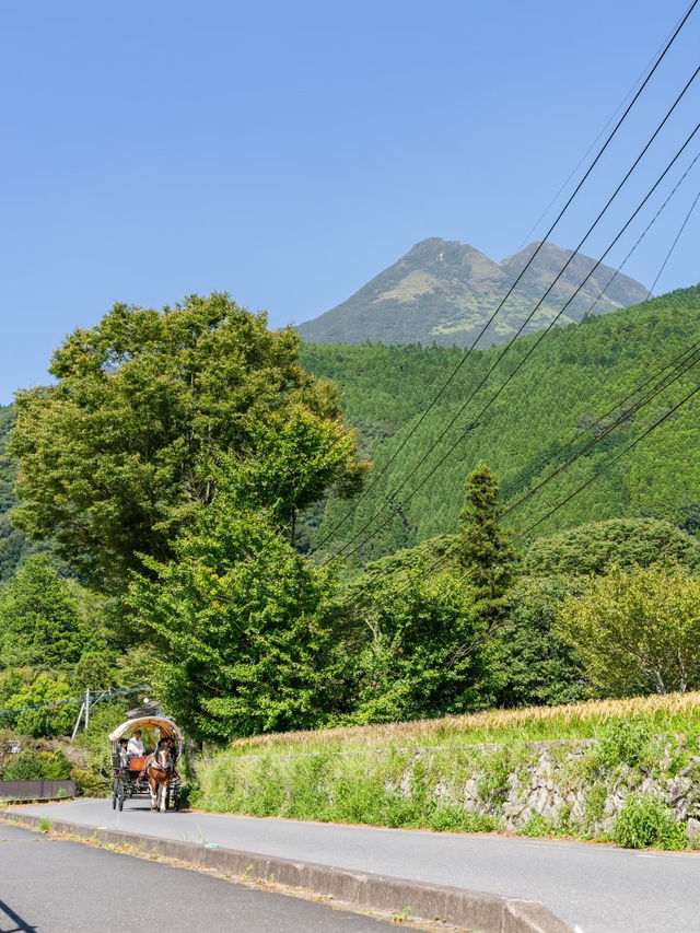 【大分県/由布市】街の中を馬が歩く！？