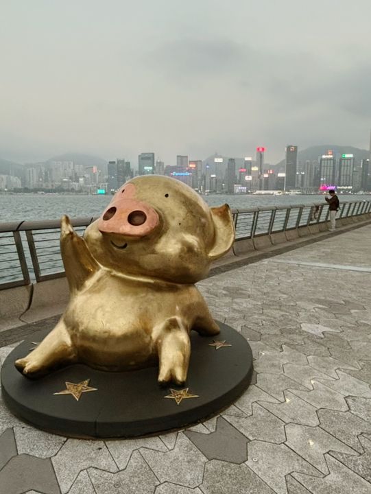 來一場香港Citywalk之旅一日遊