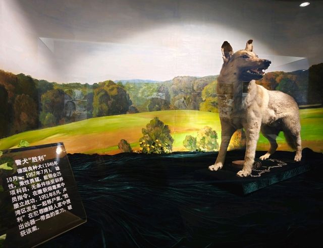 上海公安博物館（4）