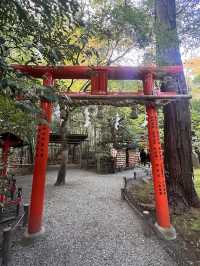 Pray for Love at the Poetic Nonomiya Shrine 