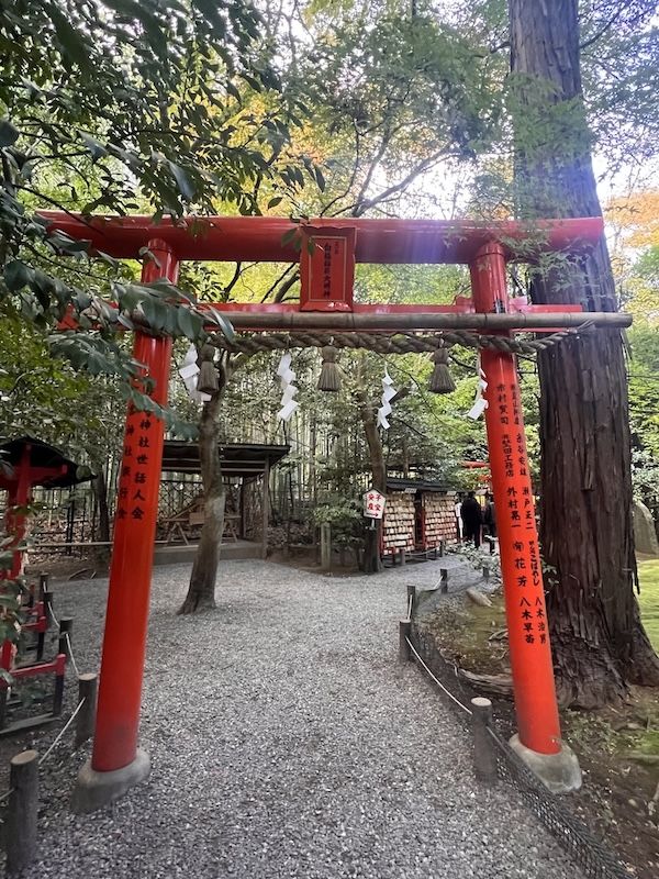 Pray for Love at the Poetic Nonomiya Shrine 