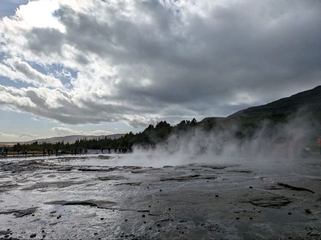 ゲイシール