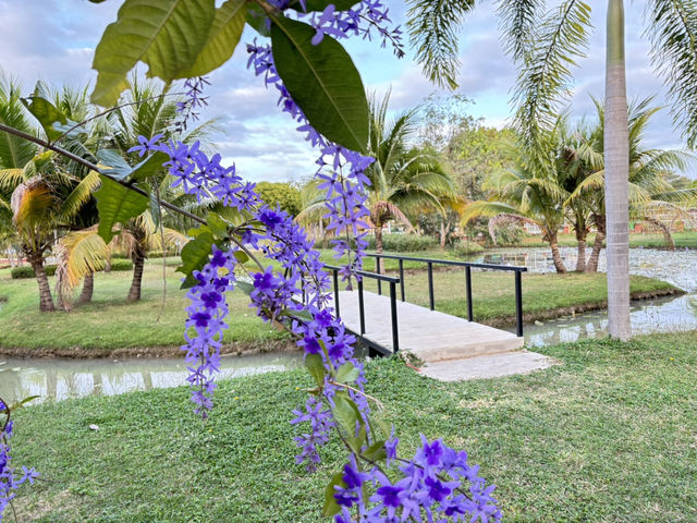 สวนสุขภาพหนองกวางดีด