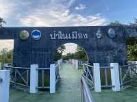 พื้นที่สีเขียว ป่าในเมือง มอ.ปัตตานี 🌿