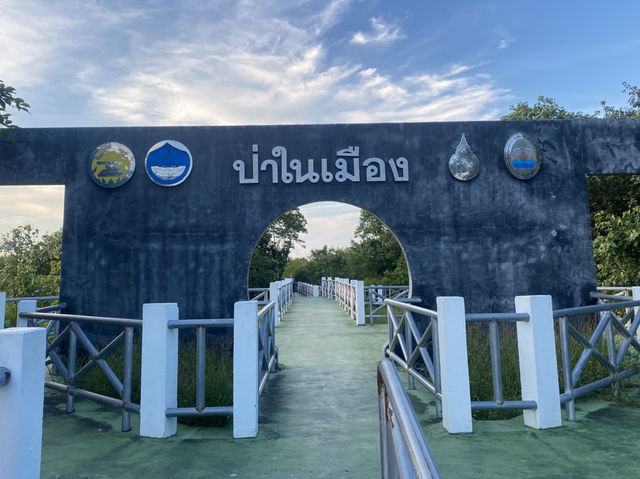 พื้นที่สีเขียว ป่าในเมือง มอ.ปัตตานี 🌿