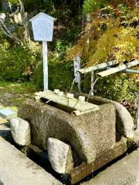 【山梨県】和合•生産•繁栄•結びの神社