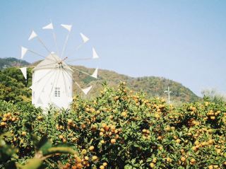 Floating in the Seto Inland Sea is 'Shodoshima'🩷.