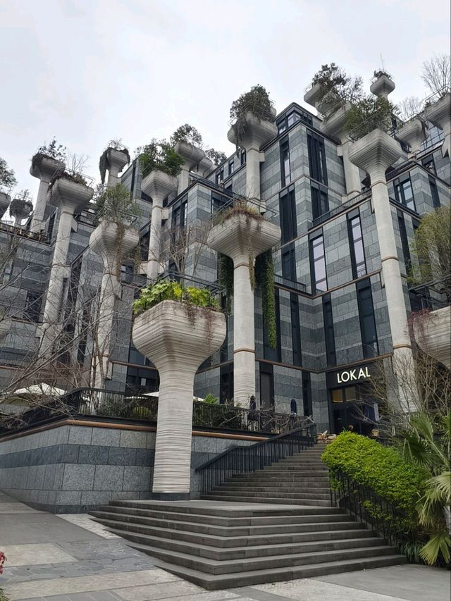1000 Trees : Shanghai 🇨🇳