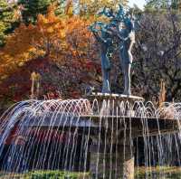Showa Kinen Park (昭和記念公園)