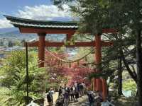 A Picture-Perfect View: Arakurayama Sengen Park