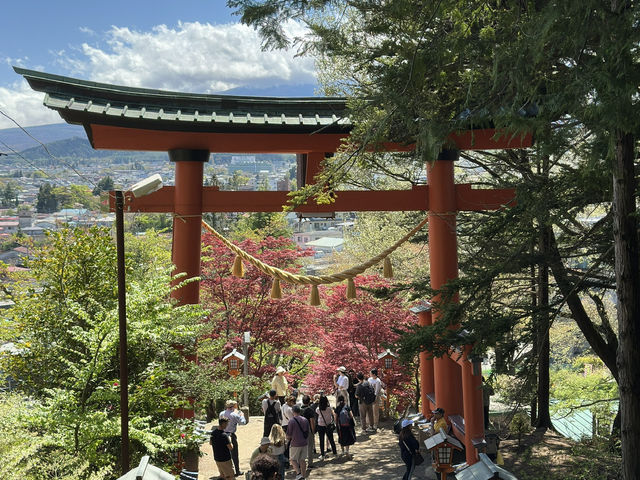 A Picture-Perfect View: Arakurayama Sengen Park