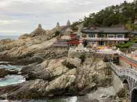 Highlights of Busan’s Scenic Gems