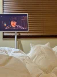 우리 집 강아지와 함께할 수 있는 충주 애견동반 숙소🐶 