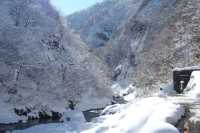 The Most beautiful and photogenic snowy landscape in Japan
