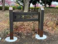 木場公園