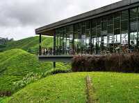 Cameron Highlands: A Cool Retreat Amidst Lush Greenery