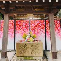 華やかなで可愛らしい花手水めぐりはいかがでしょうか？