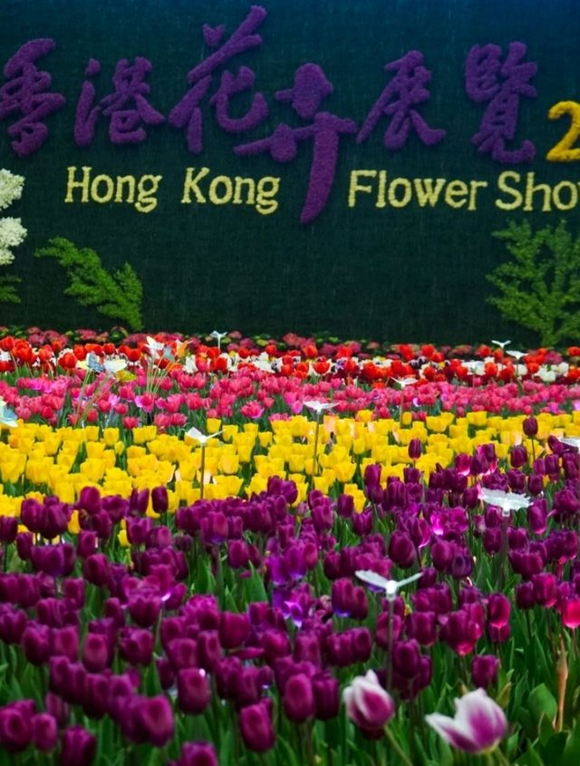 春回大地💐花花世界🗓香港花卉展覽2025