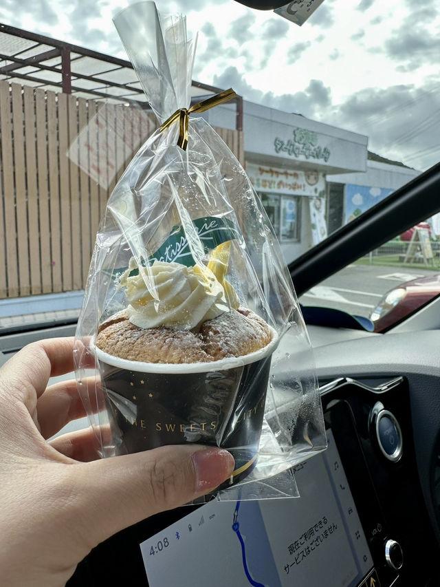 【大宜味シークヮーサーパーク】