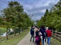 月眉人工濕地生態公園ㄧ日浪漫遊