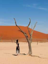 비현실적 엽서 풍경🏜️ 나미비아 데드블레이