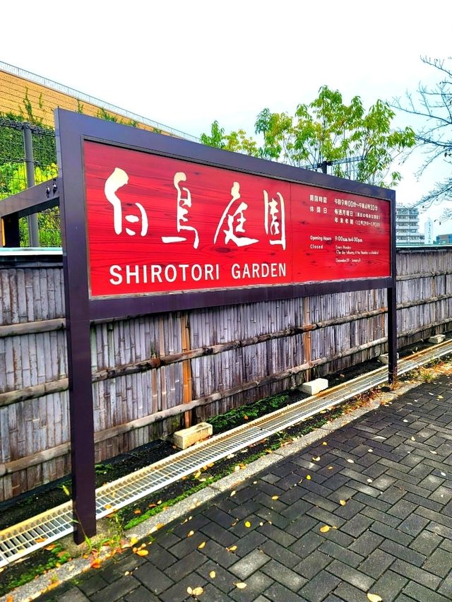 如果你熱愛日式庭園造景，相信我白鳥庭園🎋你會喜歡👍👍👍