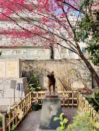 【東京】今だけ!!奇跡の絶景お花見スポット🌸
