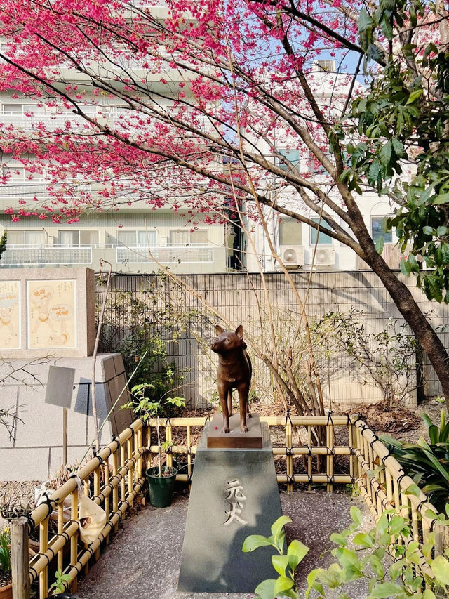 【東京】今だけ!!奇跡の絶景お花見スポット🌸