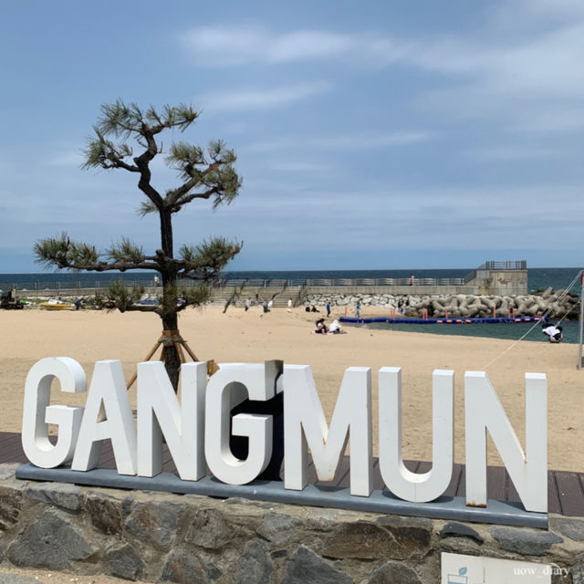 시원하게 강릉여행 어때? 강릉여행 코스 총정리