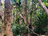 Spring Fling - Hiking and Exploring Tawharanui Regional Park