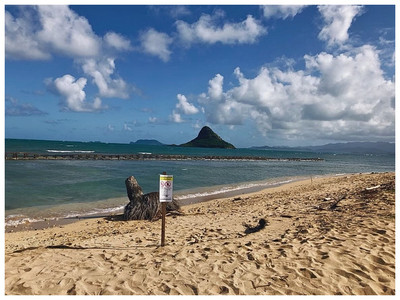 ハワイ/オアフ島】とんがり帽子のチャイナマンズハットが目の前に