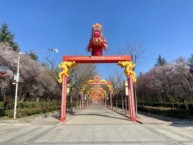 💕洛陽世外桃源✨隋唐城遺址植物園🌳